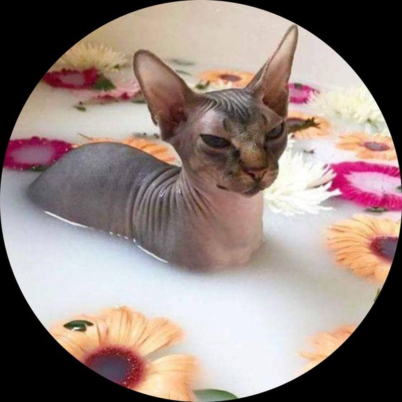 Meet your Posher, Annie - Picture 1 of 1